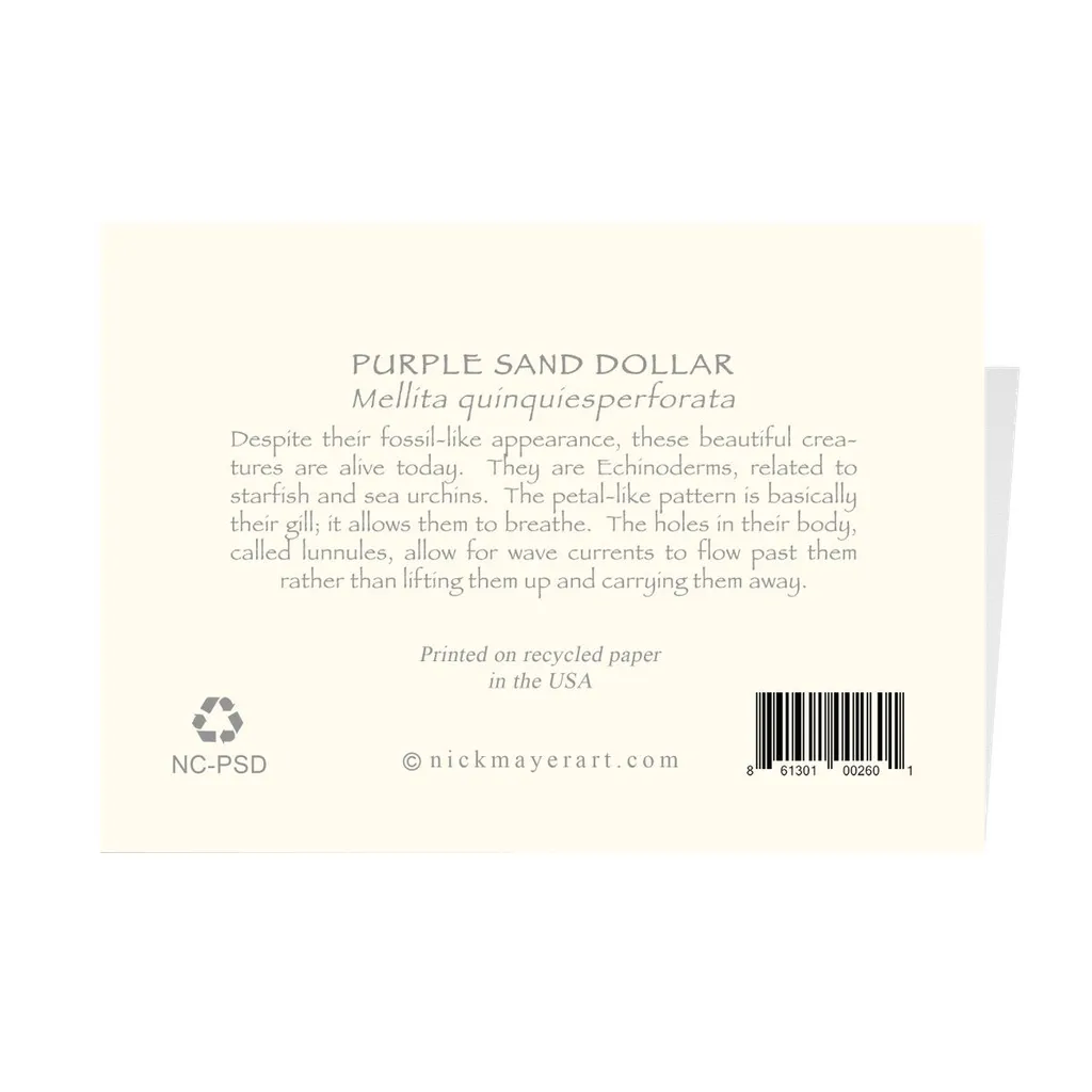 Purple Sand Dollar Notecards