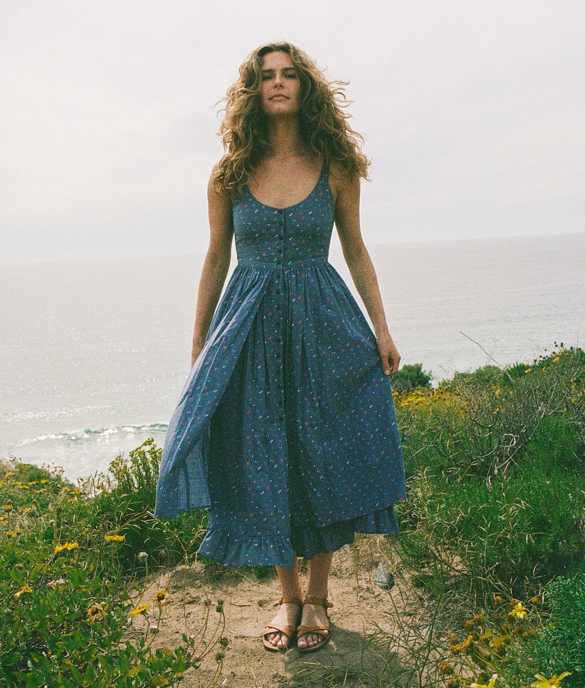 The Nicks Dress | Lapis Aster Garden